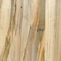 sample picture of ambrosia maple